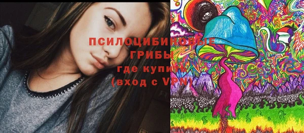 не бодяженный Алзамай