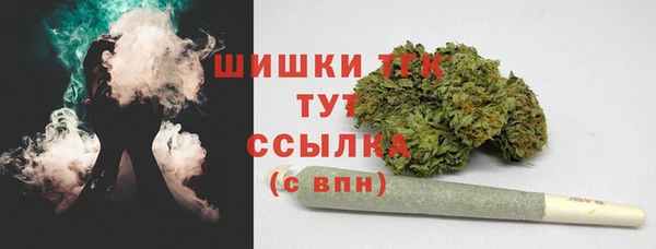 ГАЛЛЮЦИНОГЕННЫЕ ГРИБЫ Алексеевка