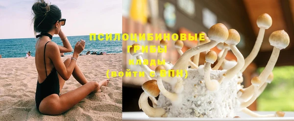 не бодяженный Алзамай