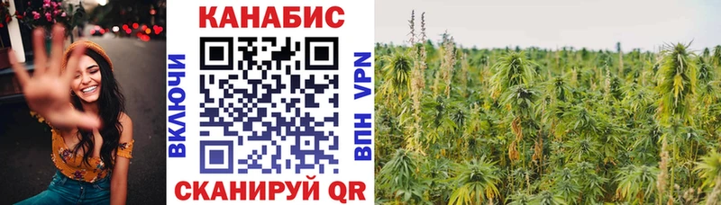 магазин    Сарапул  Бошки Шишки VHQ 
